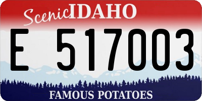 ID license plate E517003
