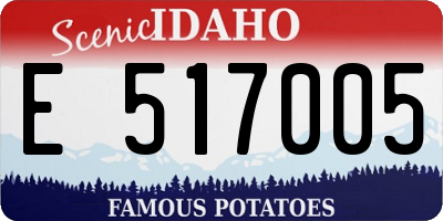 ID license plate E517005