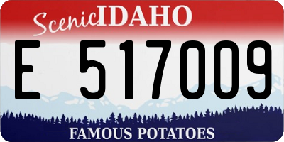 ID license plate E517009