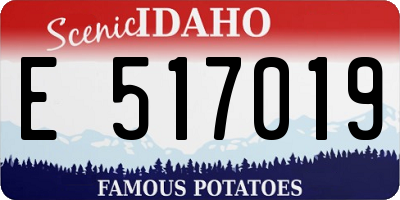 ID license plate E517019
