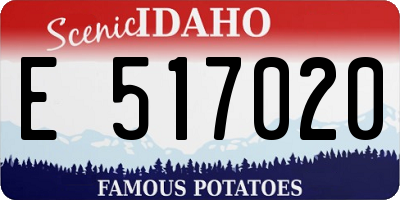 ID license plate E517020
