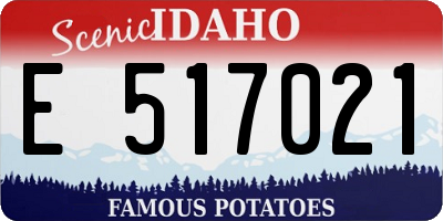 ID license plate E517021