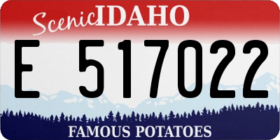 ID license plate E517022