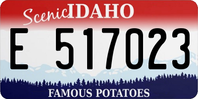 ID license plate E517023