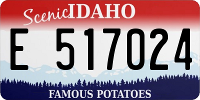 ID license plate E517024