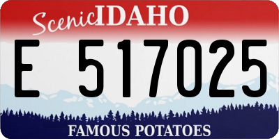 ID license plate E517025