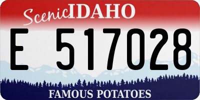 ID license plate E517028