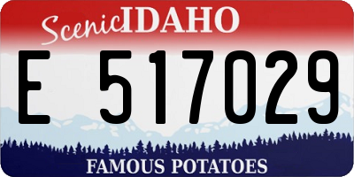ID license plate E517029
