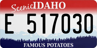 ID license plate E517030