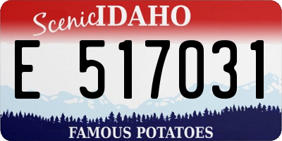 ID license plate E517031