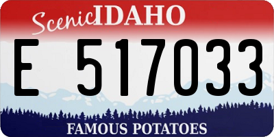 ID license plate E517033