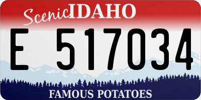 ID license plate E517034