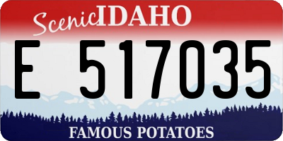 ID license plate E517035