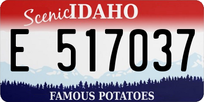 ID license plate E517037