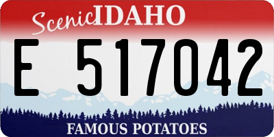 ID license plate E517042