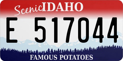 ID license plate E517044