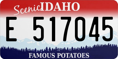 ID license plate E517045