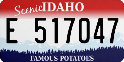 ID license plate E517047