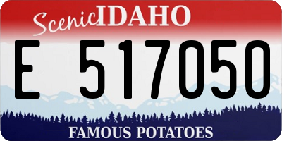 ID license plate E517050