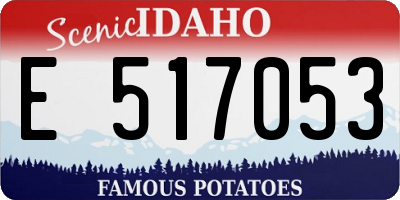 ID license plate E517053