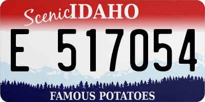 ID license plate E517054