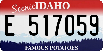 ID license plate E517059