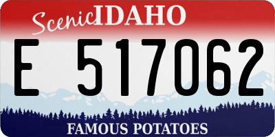 ID license plate E517062