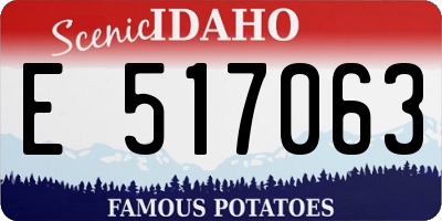 ID license plate E517063