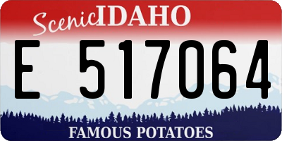 ID license plate E517064