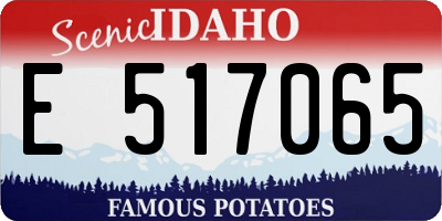 ID license plate E517065