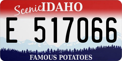 ID license plate E517066