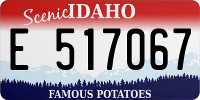 ID license plate E517067