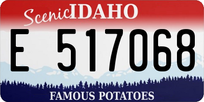 ID license plate E517068