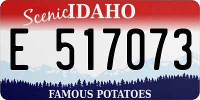 ID license plate E517073