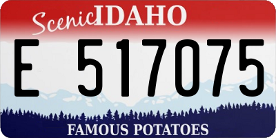 ID license plate E517075