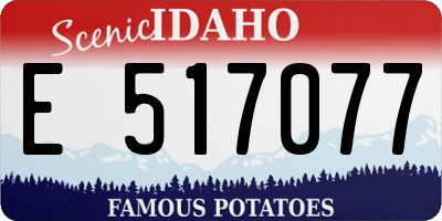 ID license plate E517077