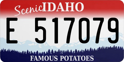 ID license plate E517079