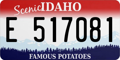 ID license plate E517081