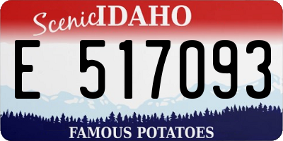ID license plate E517093