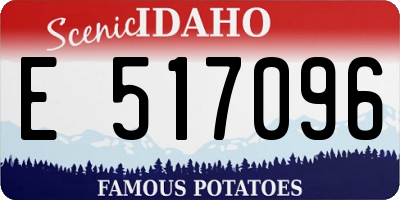 ID license plate E517096
