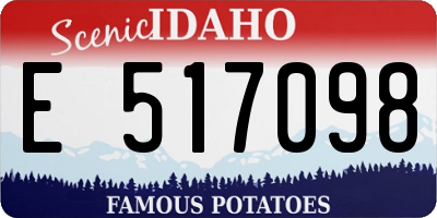 ID license plate E517098
