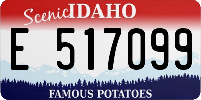 ID license plate E517099
