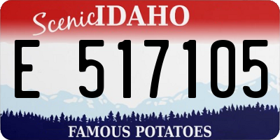 ID license plate E517105