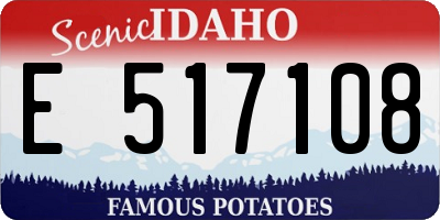 ID license plate E517108