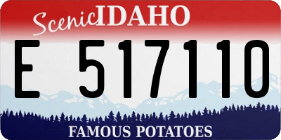 ID license plate E517110