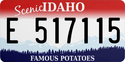 ID license plate E517115