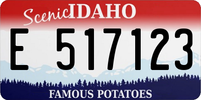 ID license plate E517123