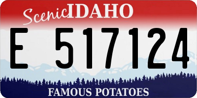 ID license plate E517124