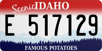 ID license plate E517129