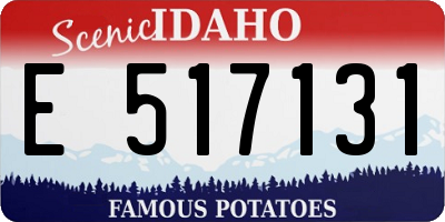 ID license plate E517131
